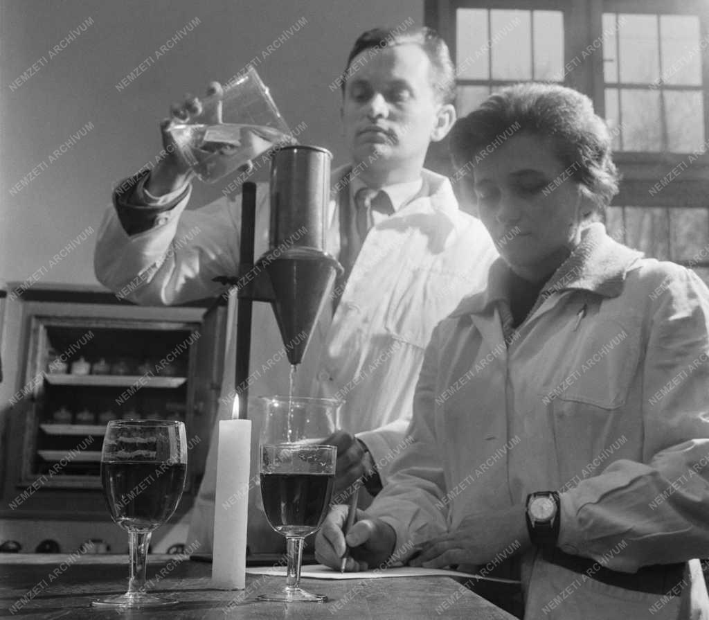 Mezőgazdaság - Szőlészeti Kutató Intézet 