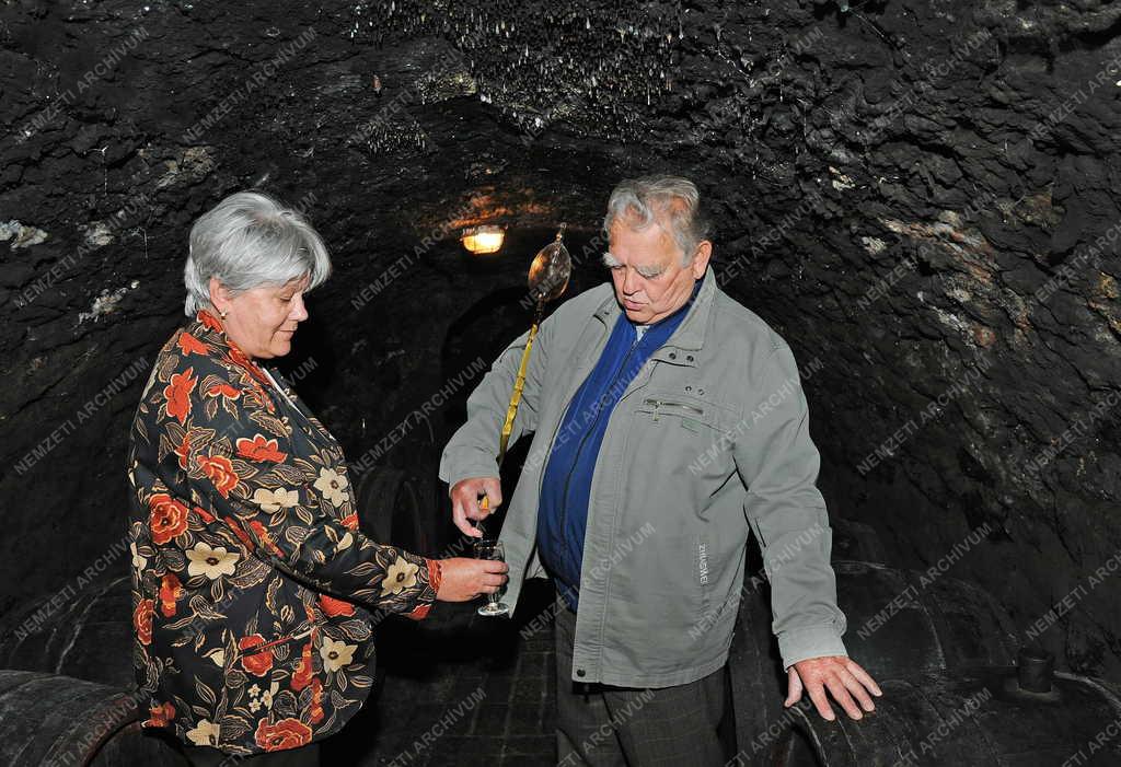 Portré - Tokaj - Lakatos Lajos borosgazda