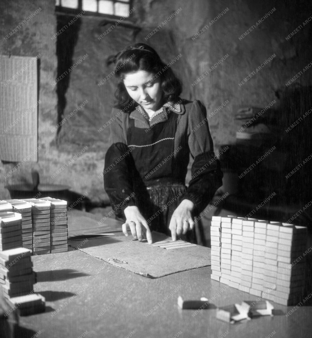 Ipar - Góliát dobozgyár