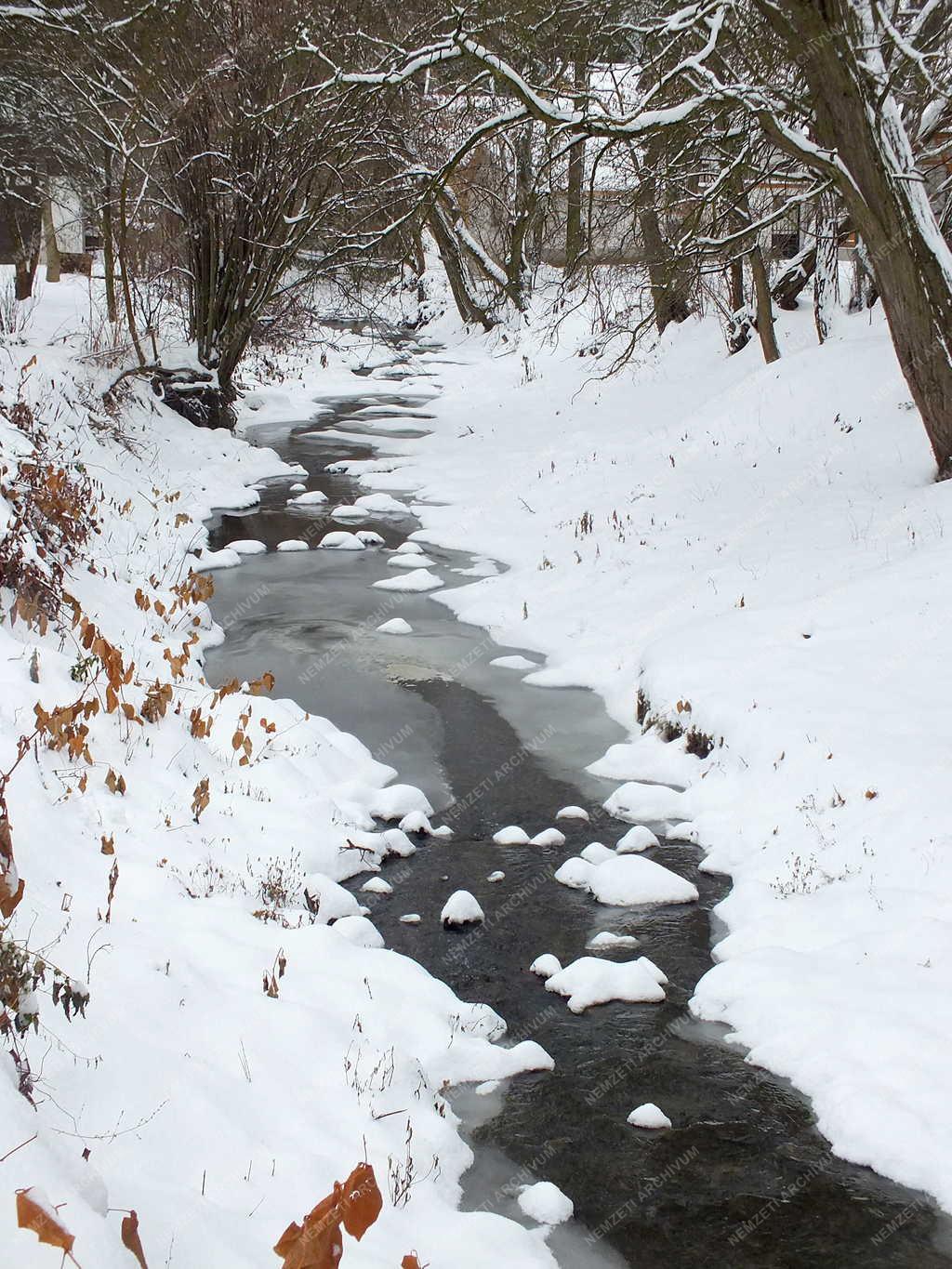 Tájkép - Zebegény - Malomvölgyi patak