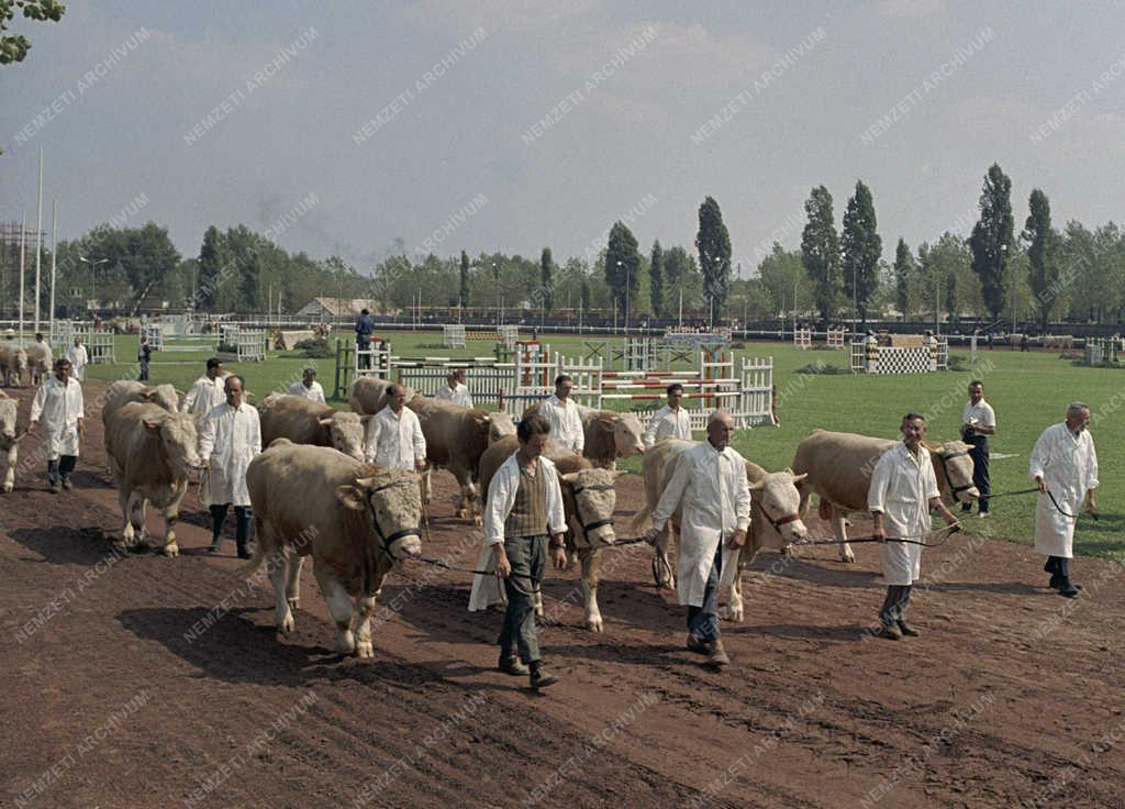 Mezőgazdaság - Kiállítás - 66. Országos Mezőgazdasági  Kiállítás- és Vásár
