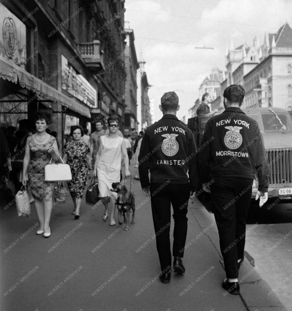 Életkép - Budapesti pillanat