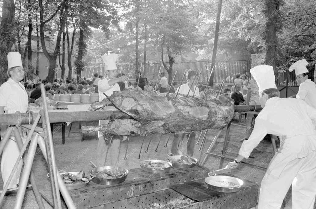 Városkép-életkép - Ökörsütés a Normafánál