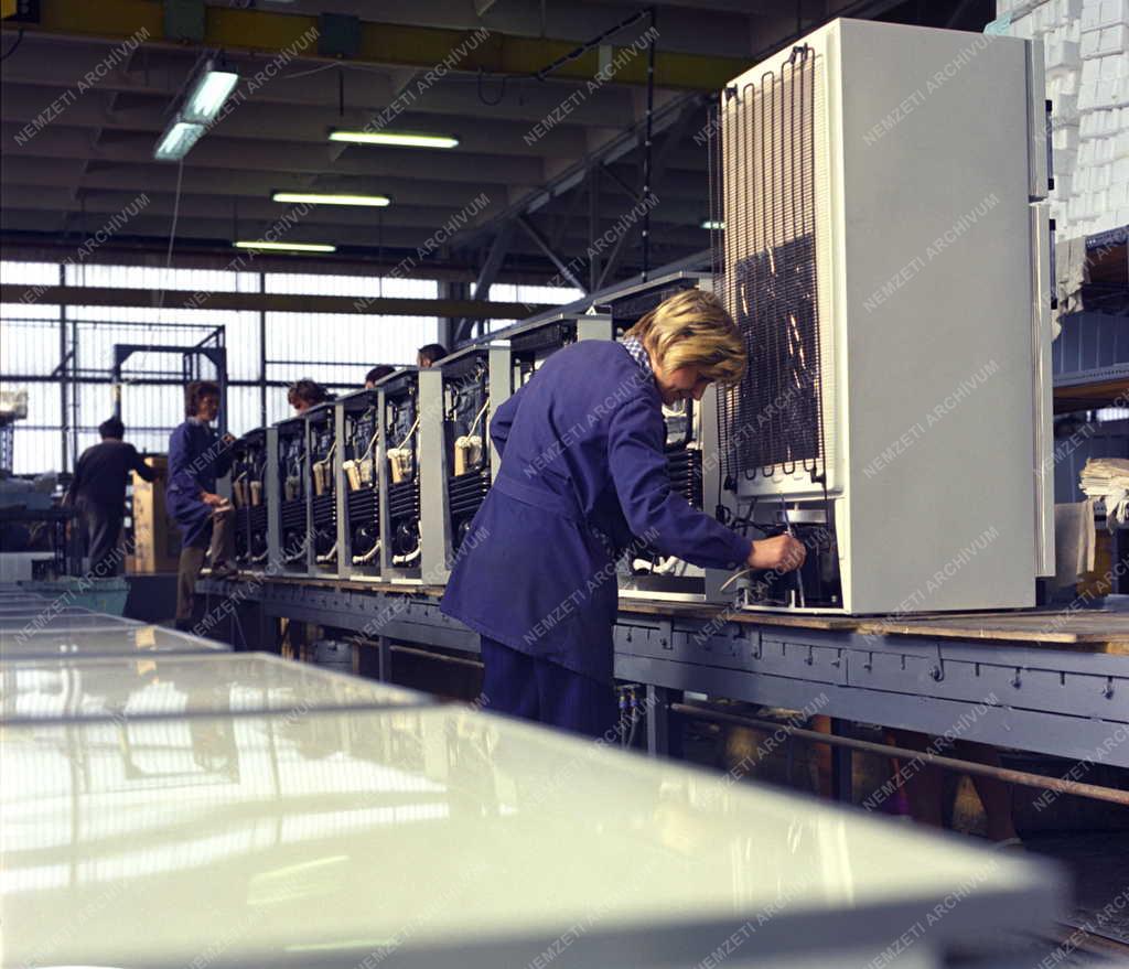 Ipar - A Jászberényi Hűtőgépgyárban