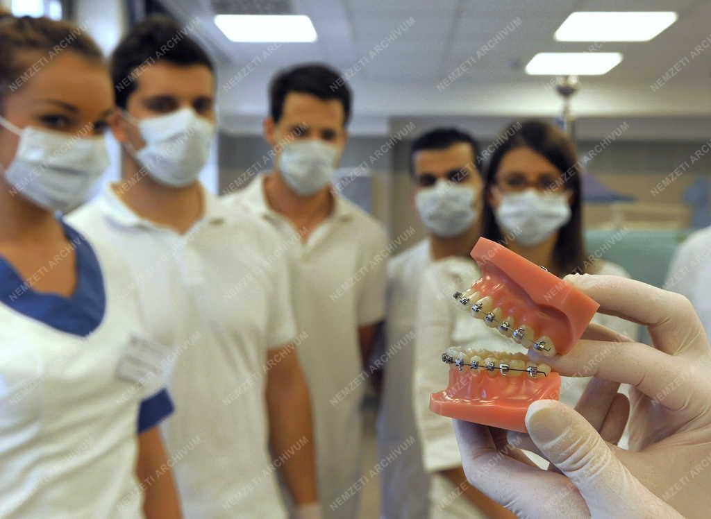 Oktatás - Debrecen - Fogorvosképzés a Debreceni Egyetemen