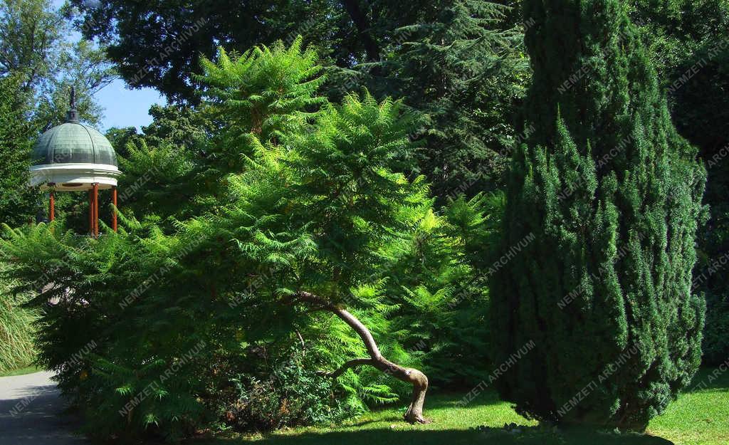 Tájkép - Budapest - Margitszigeti parkrészlet