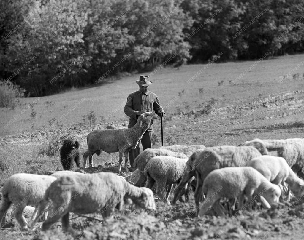 Évforduló - 900 éves Kesztölc település