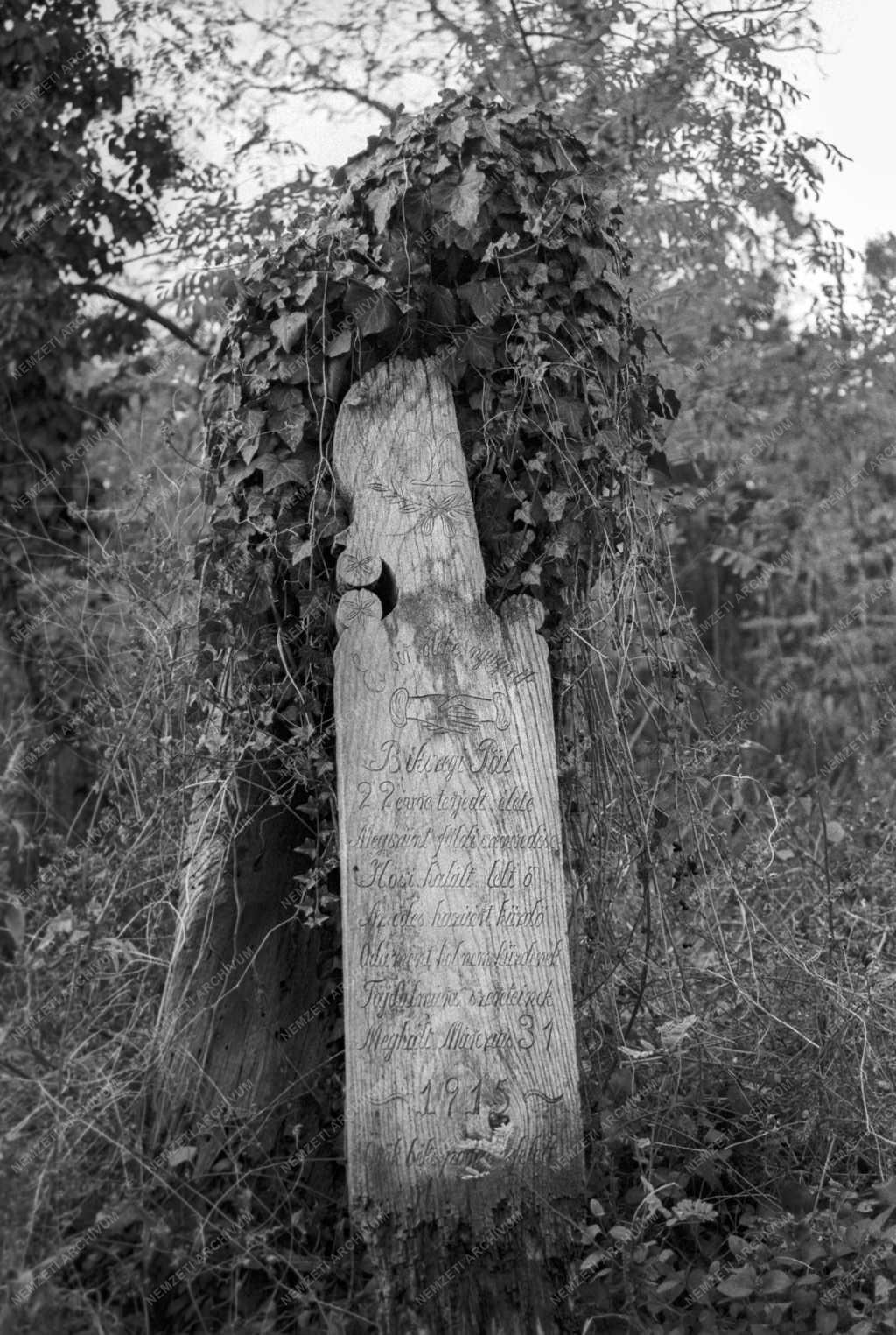 Néprajz - Fejfák a dunapataji temetőben