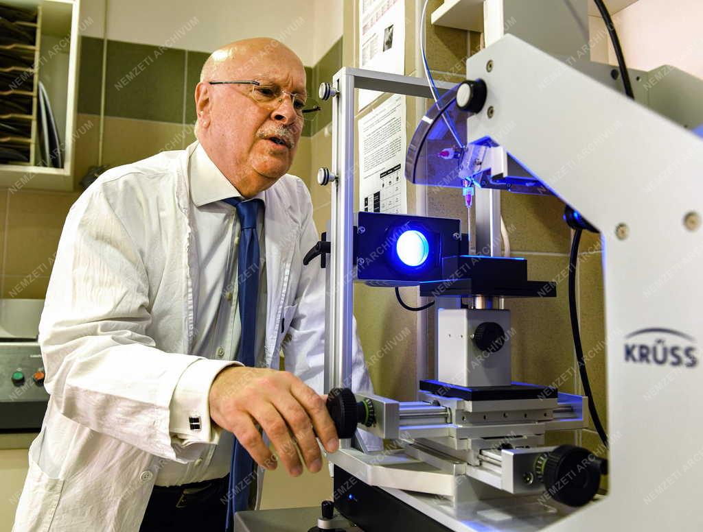 Egészségügy - Oktatás - Elismerés - Prof. Dr. Hegedűs Csaba egyetemi tanár