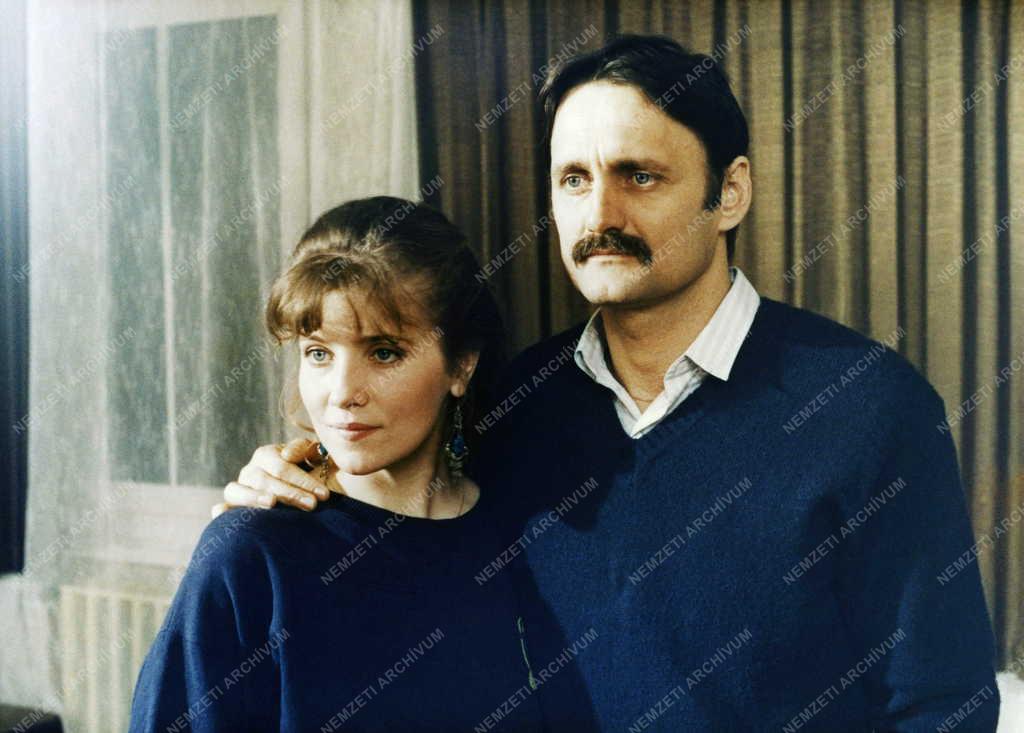 Kultúra - Televízió - A Szomszédok című tv-filmsorozat forgatása