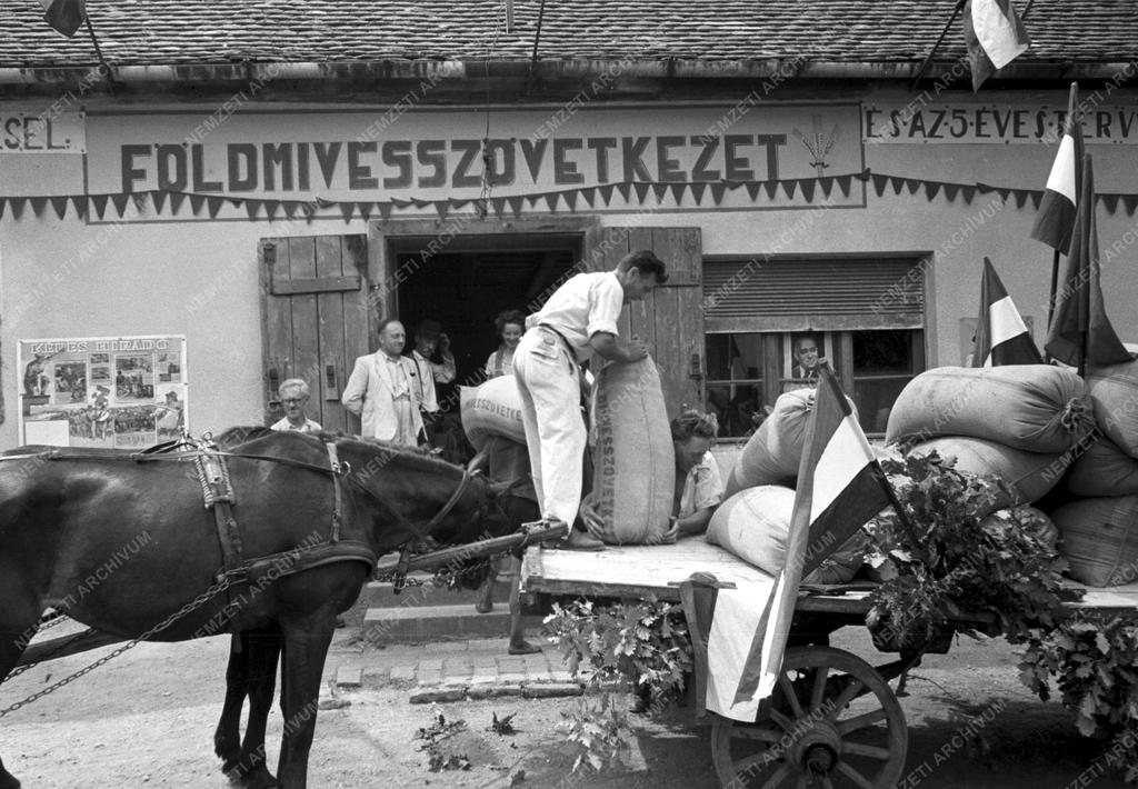 Mezőgazdaság - Kötelező beszolgáltatás