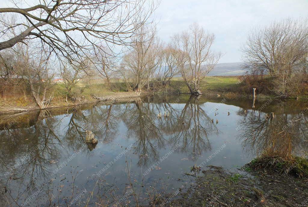 Természet - Letkés - Ipoly holtág