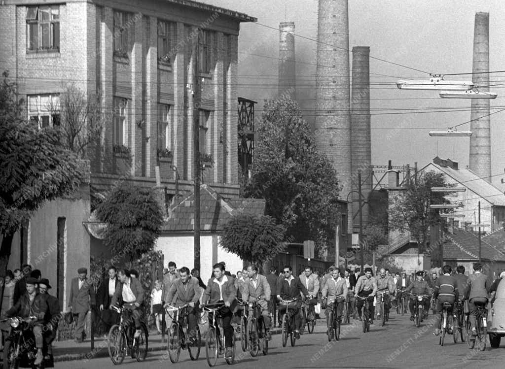 Városkép-életkép - Közlekedés - Kerékpárosok Győrött