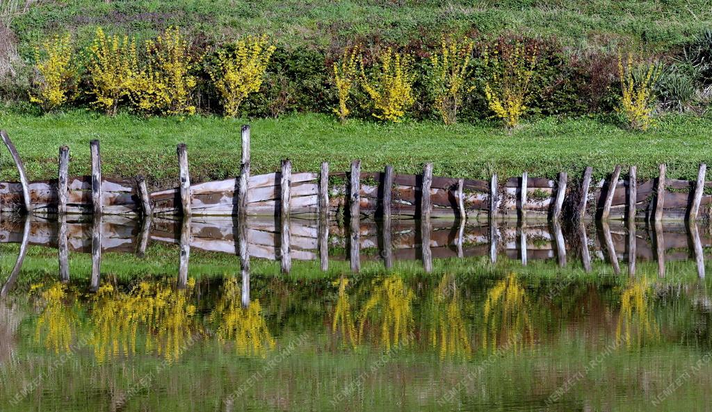 Település - Felsőmocsolád - Kacskovics–Bánó-kastély parkja