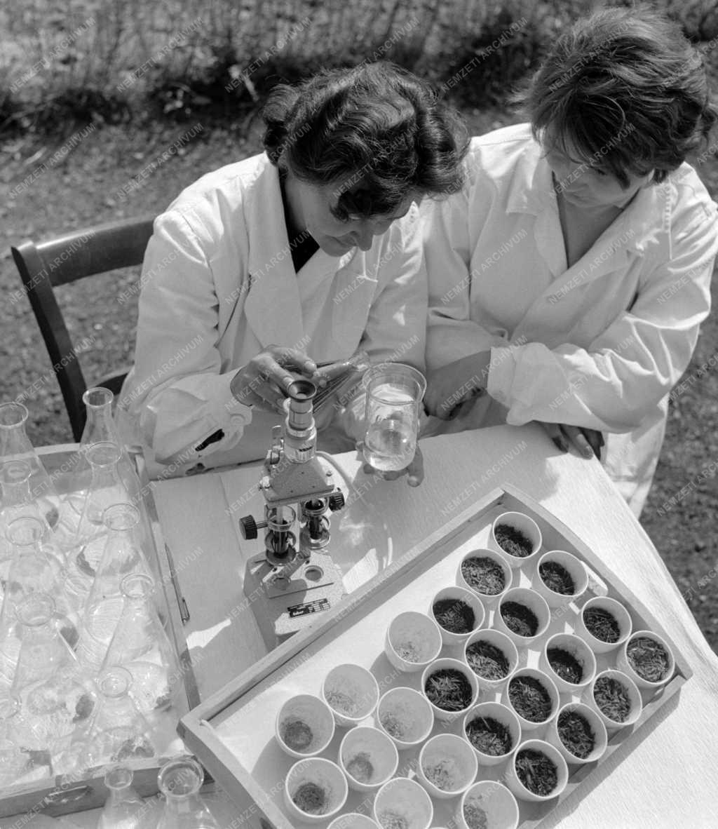 Tudomány - A helyi Állami Gazdaság laboratóriuma Hortobágyon