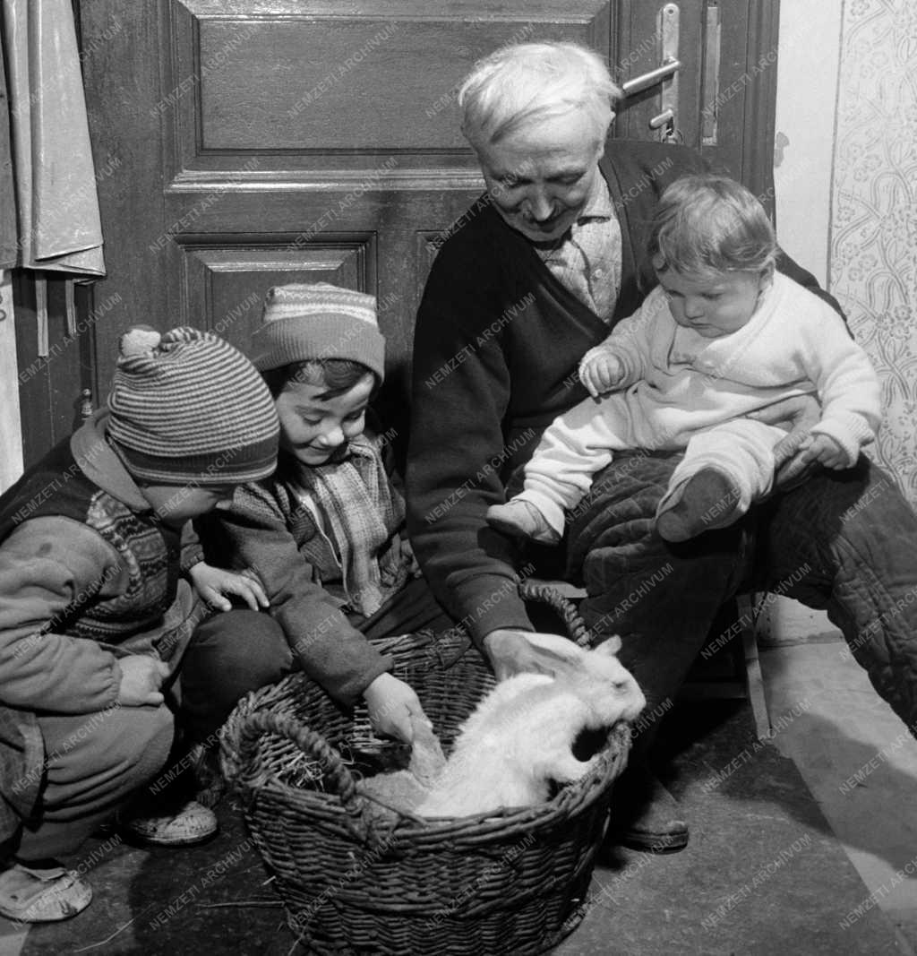 Életkép - Bene András, a valkói termelőszövetkezet nyugdíjasa