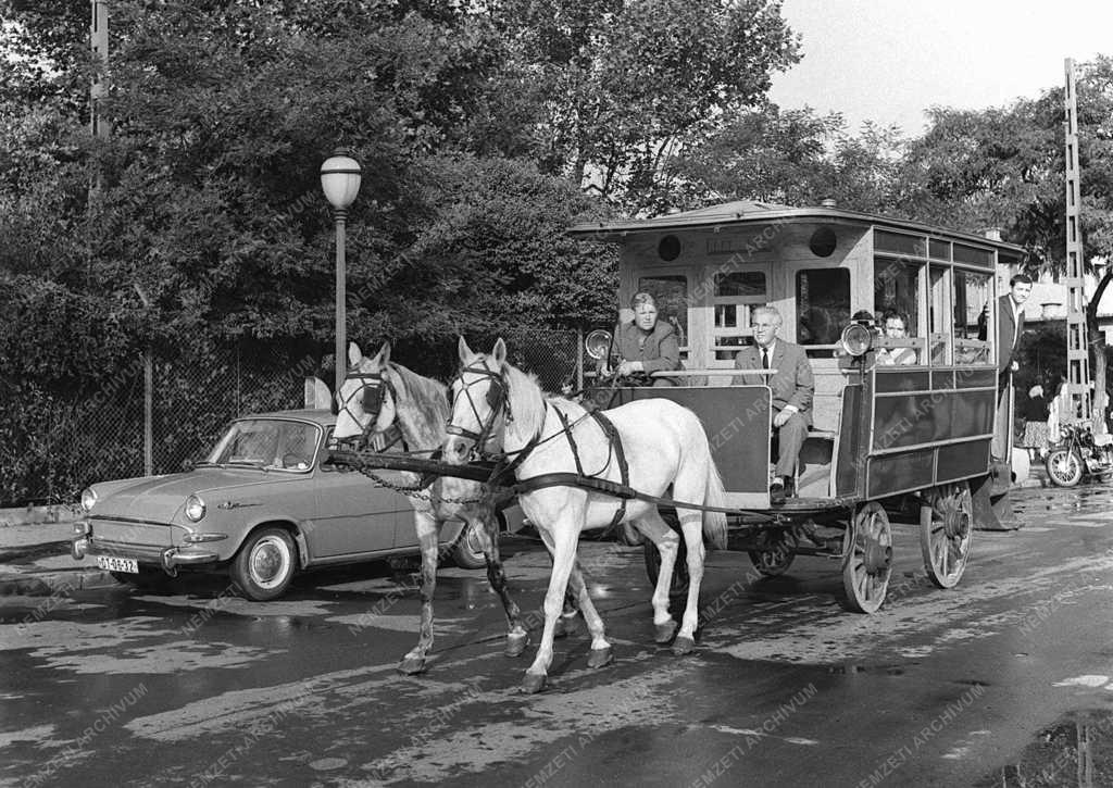 Közlekedés - Omnibusz a Városligetben