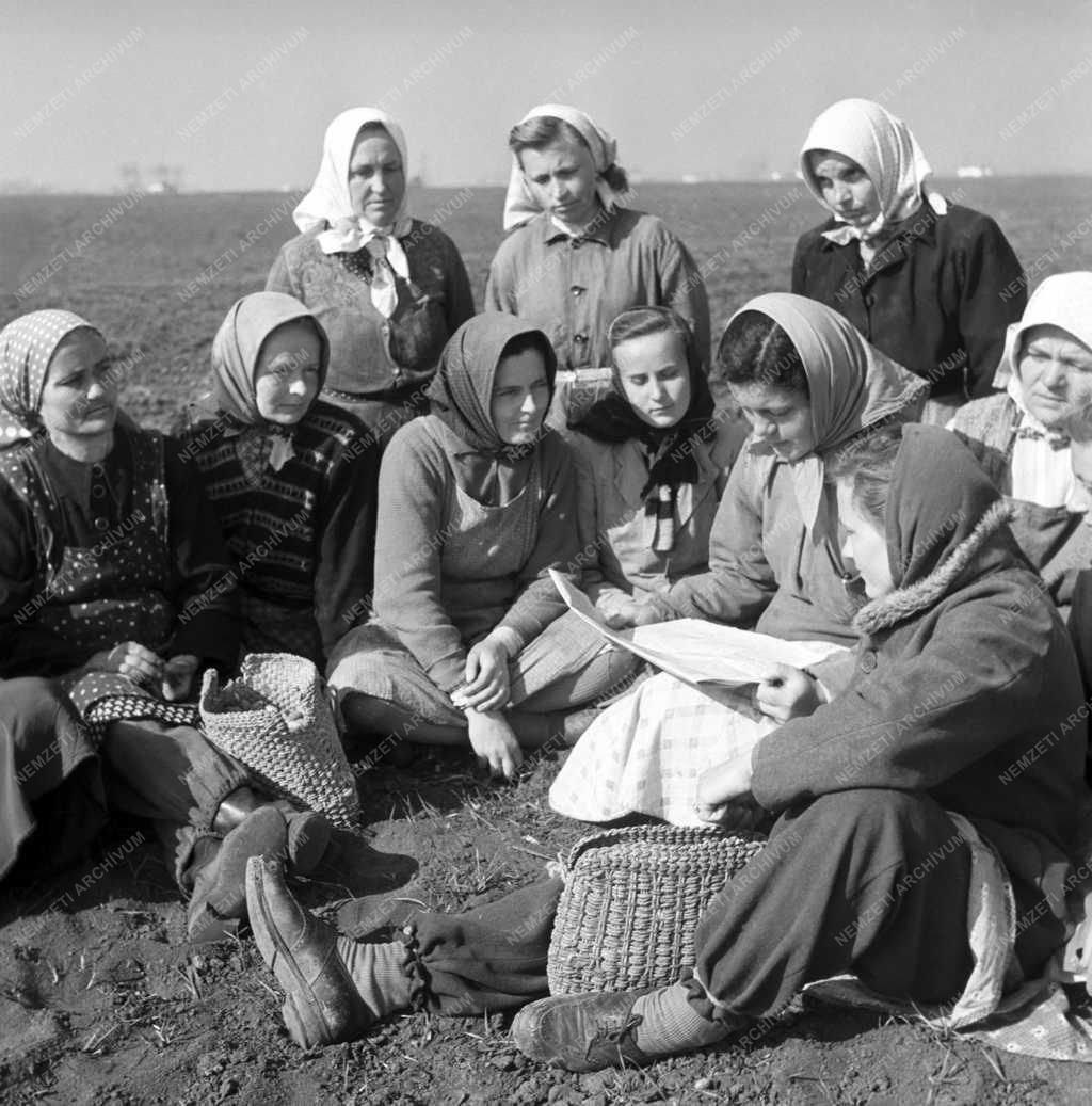 Mezőgazdaság - Harcos Termelőszövetkezet