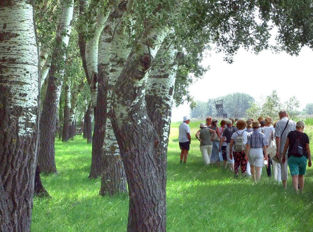 Turizmus - Izsák - Látogatók a Kolon-tónál