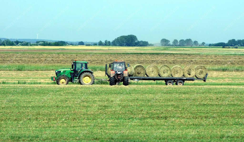 Mezőgazdaság - Kiskunlacháza - Takarmányszéna betakarítás