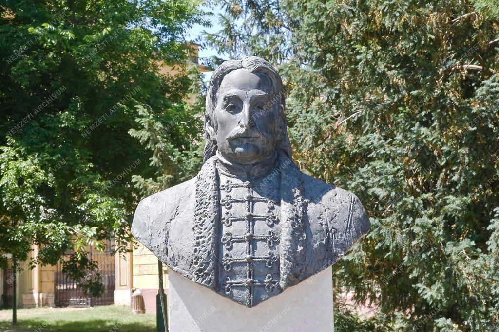 Műalkotás - Tata - Mikoviny Sámuel mellszobra