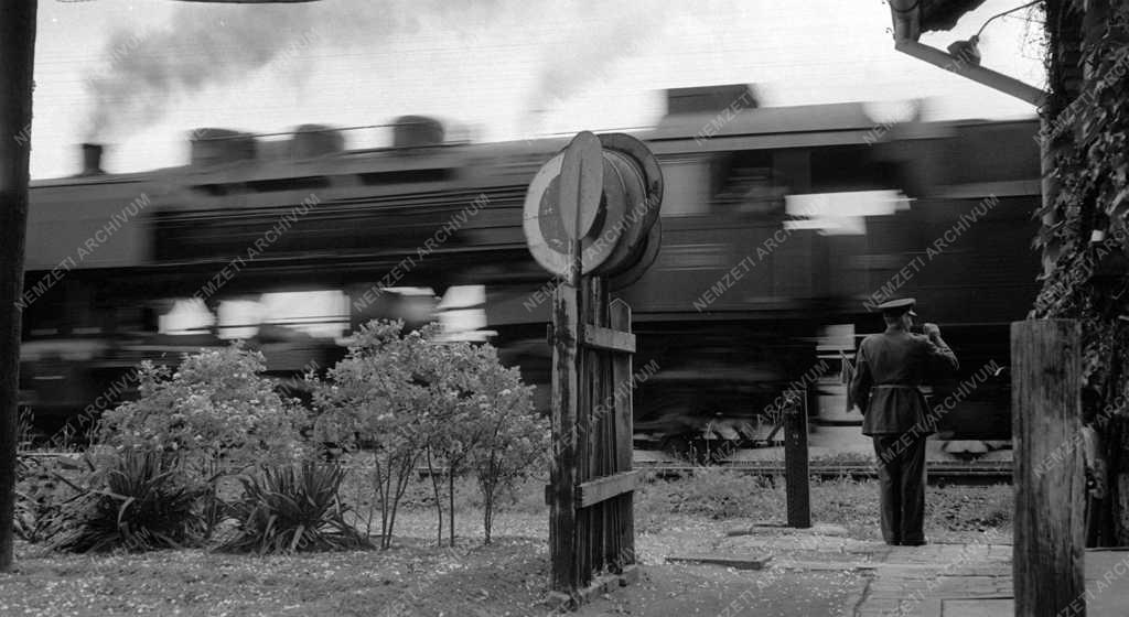 A szerző válogatása - Hencsei Lajos bakter