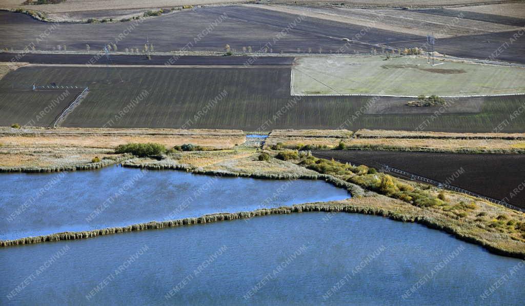 Tájkép - Természet - Ősz a Hortobágyon