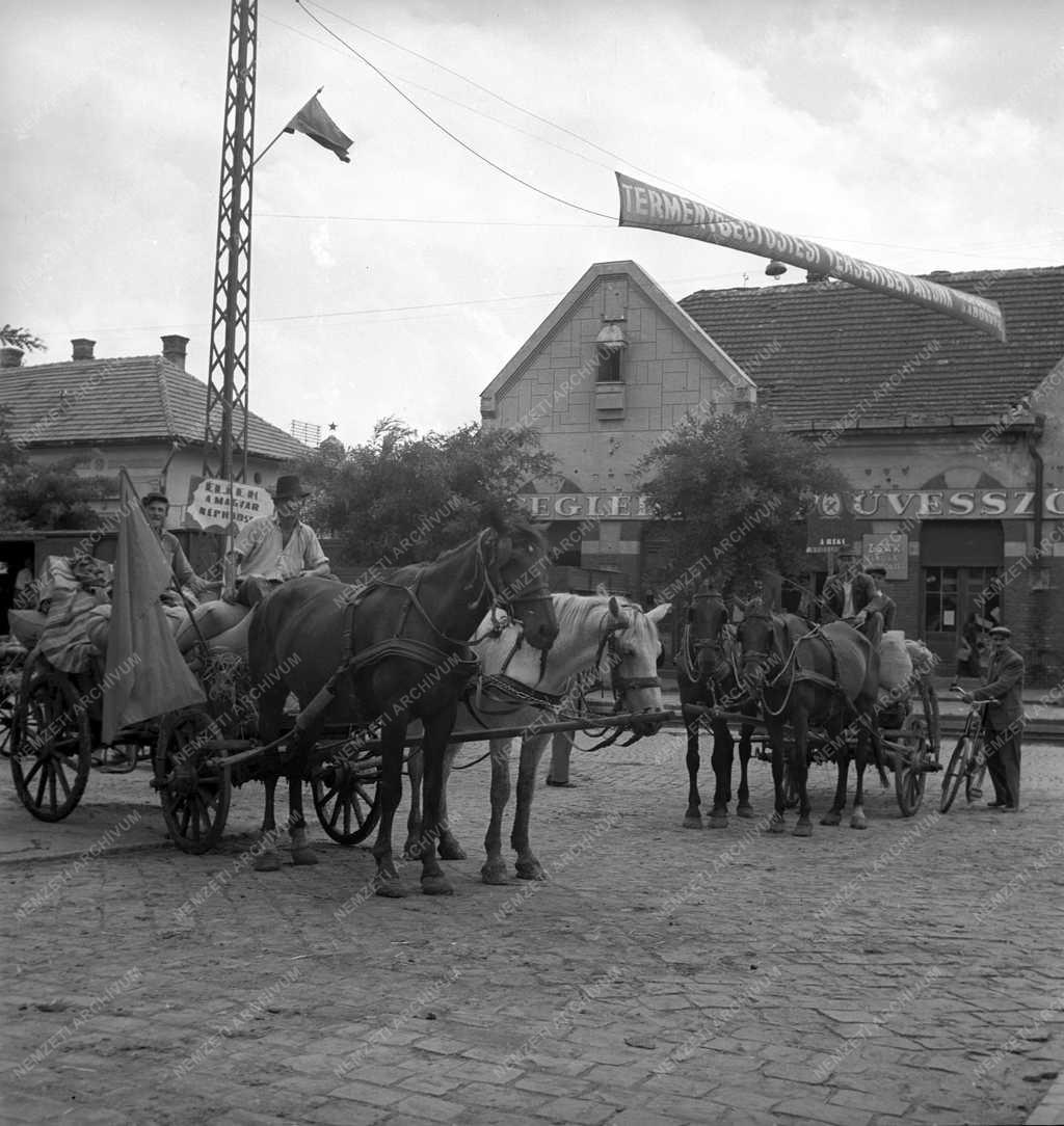 Mezőgazdaság - Termény-beszolgálatás 
