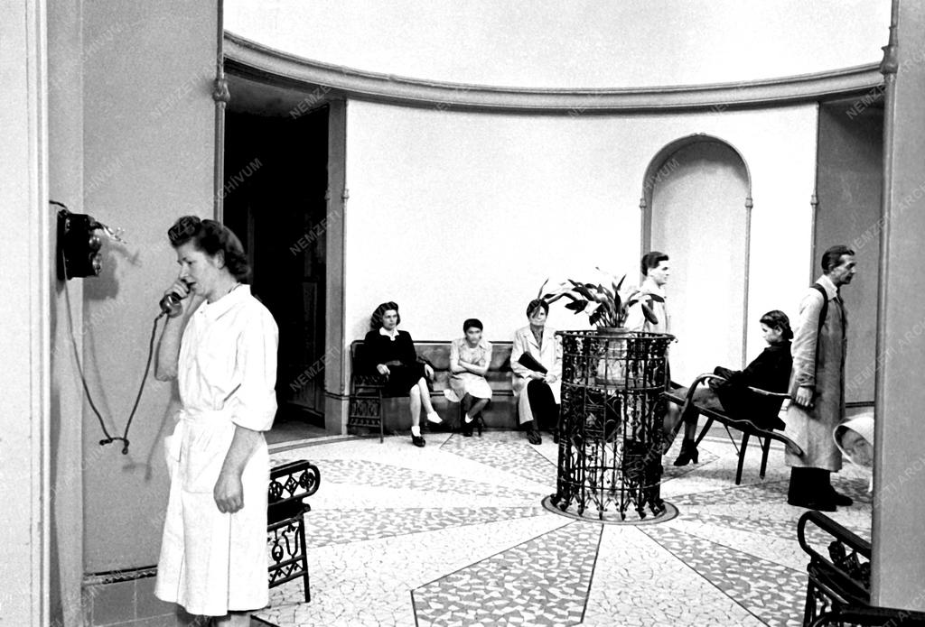 Egészségügy - A Haynal-klinika újjáépítése