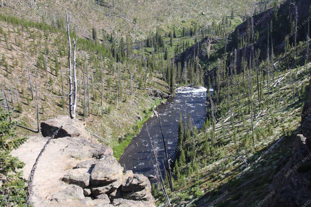 Tájkép - Yellowstone - Patak a Yellowstone Nemzeti Parkban