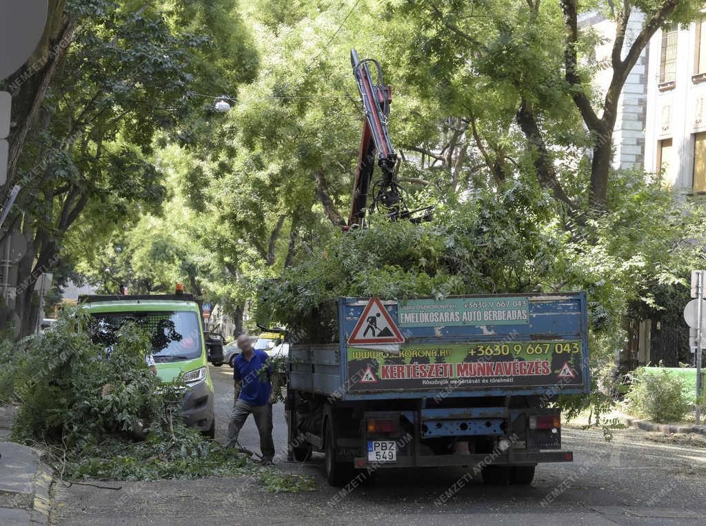 Városkép - Budapest - Fakivágás a Benczúr utcában