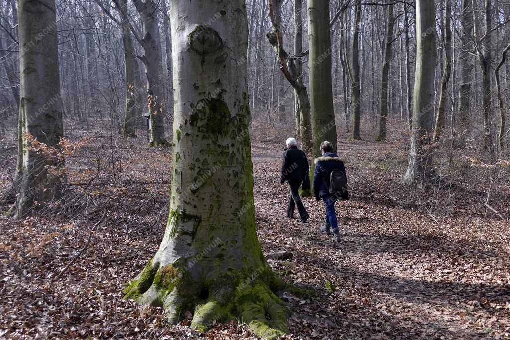 Egészségmegőrzés - Túrázók a budai erdőben