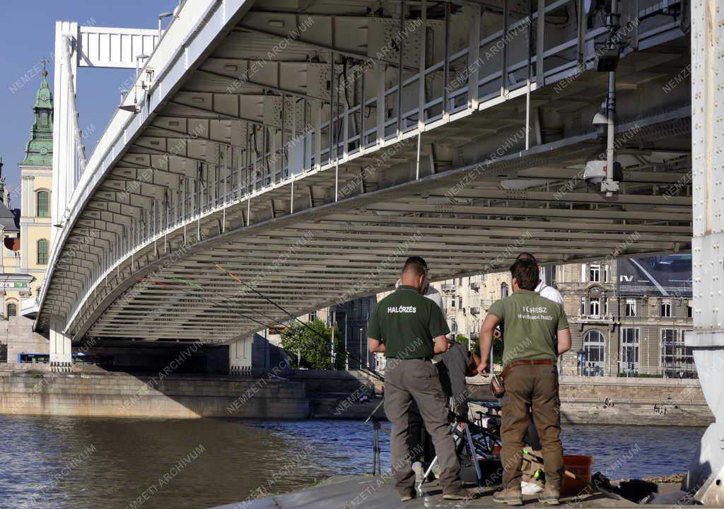 Szabadidő - Budapest - Sporthorgászok az Erzsébet hídnál