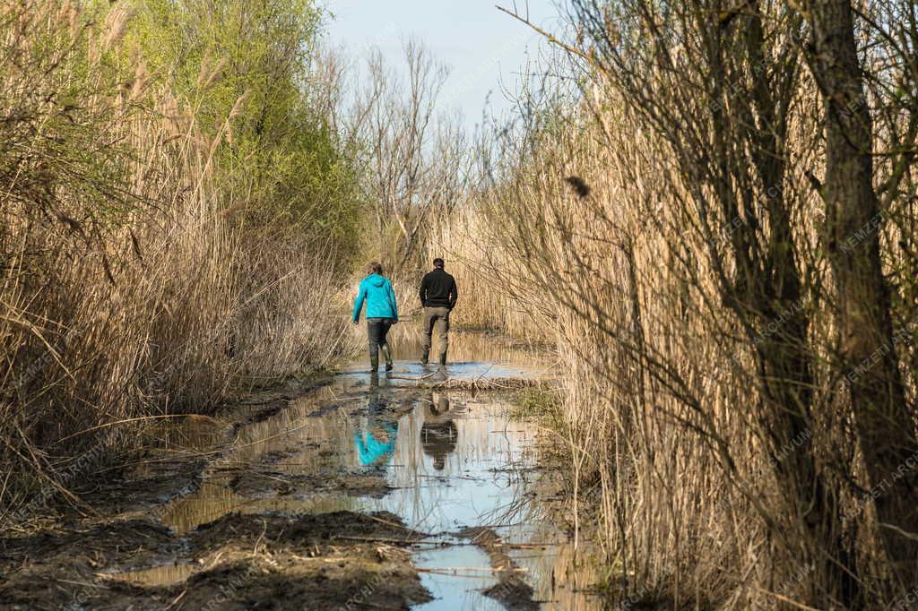 Tájkép - Tiszaalpár