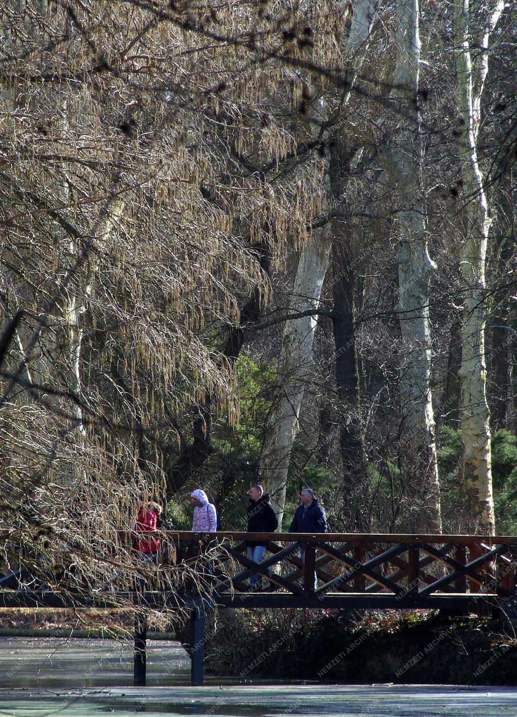 Természetjárás - Alcsútdoboz - Turisták az alcsúti arborétumban