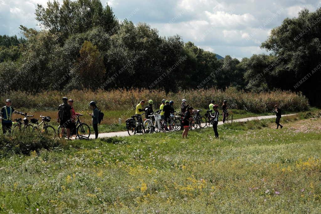 Tájkép - Kismaros - Őszi kikerics borította rét