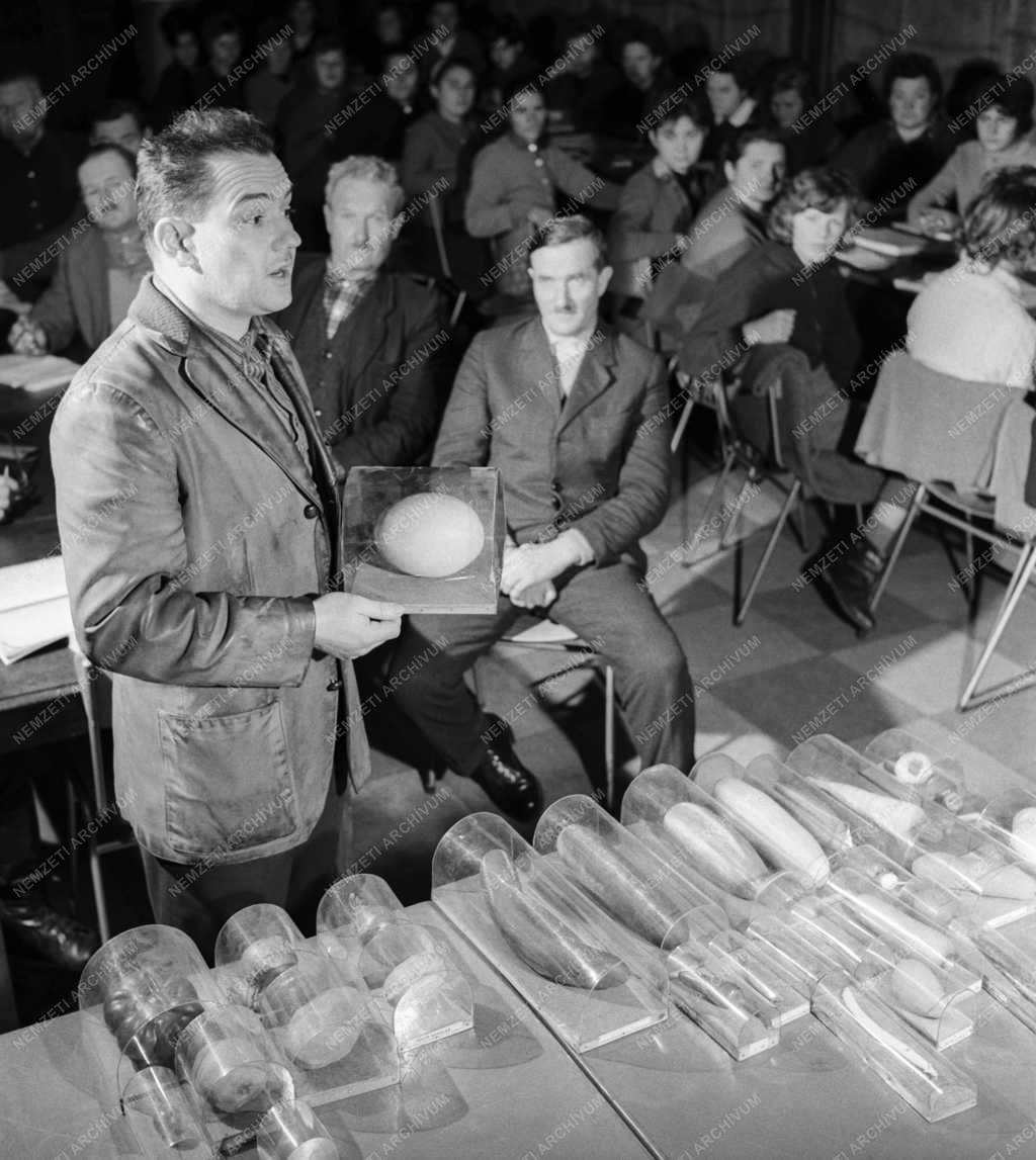 Mezőgazdaság - Oktatás - Elméleti továbbképzés a zöldségtermesztők számára