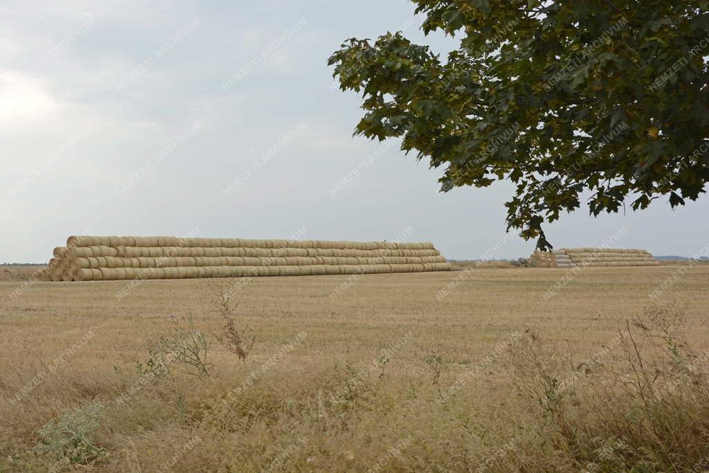Mezőgazdaság - Poroszló - Szalmabálák Poroszló határában