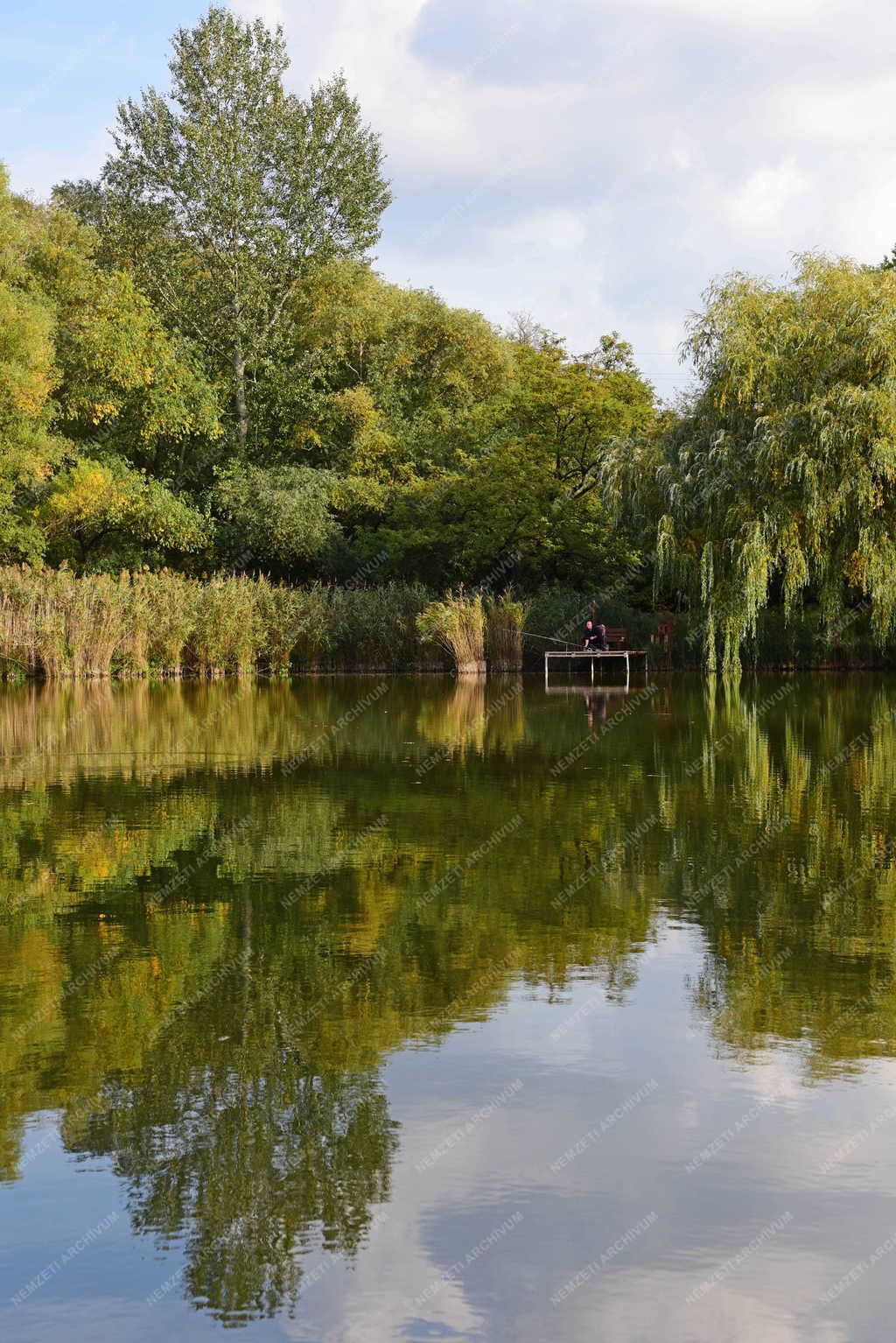 Tájkép - Kacsa-tó Pilisvörösvárnál