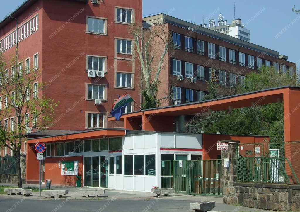 Közegészségügy - Budapest - A környezetegészségügyi intézet