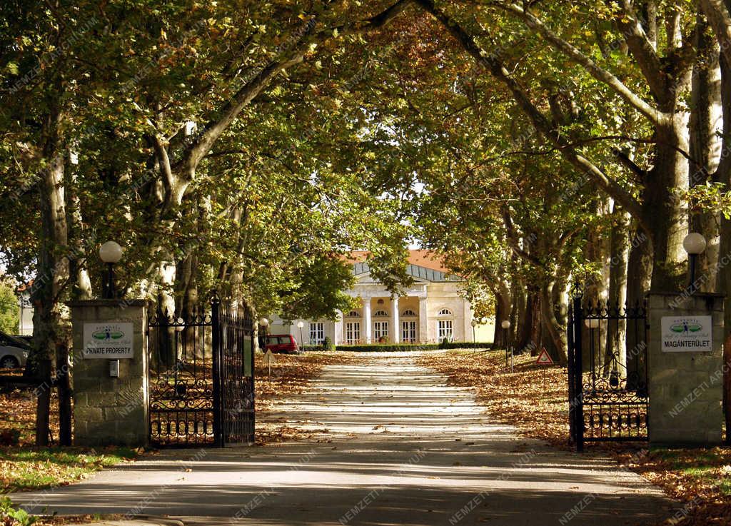Természet
