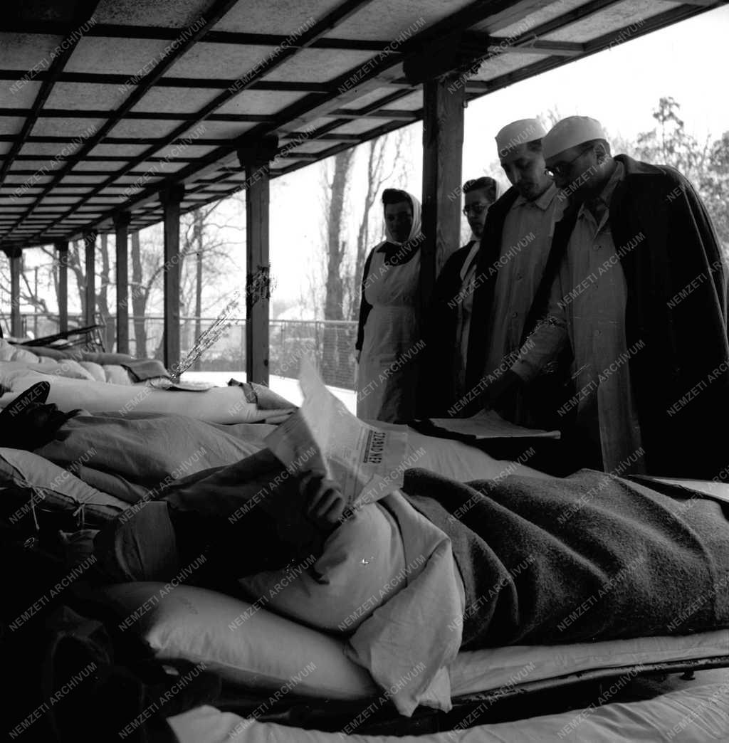 Egészségügy - Tüdőszanatórium - Hegyfalu 