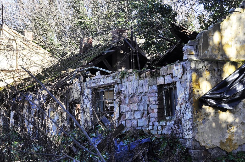 Rákosrendezői rozsdaövezet