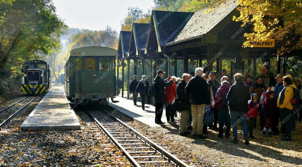 Közlekedés - Turizmus - Királyréti Erdei Vasút