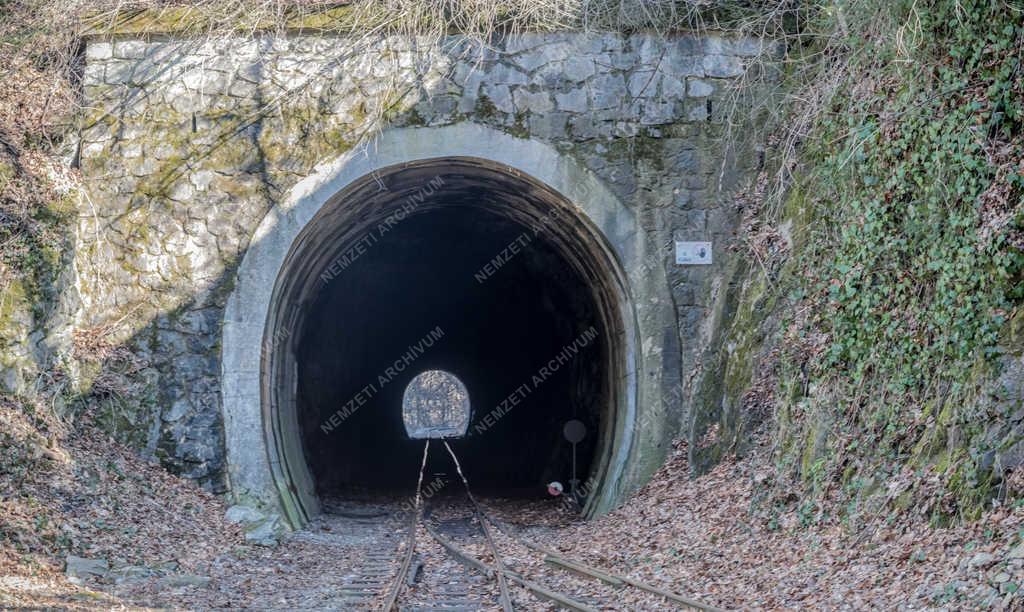 Turizmus - Miskolc - Lillafüredi Állami Erdei Vasút 