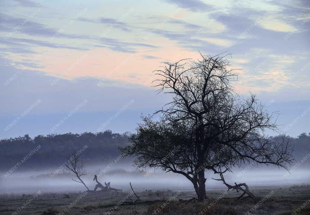 Tájkép - Természet - Ősz a Hortobágyon