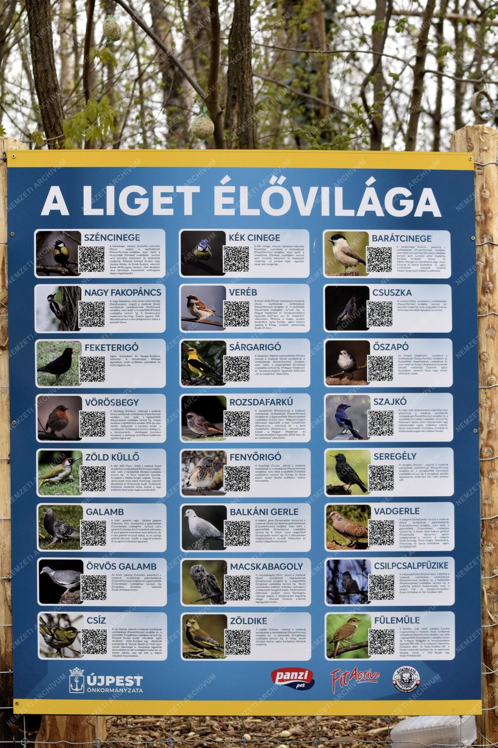 Természetvédelem - Budapest - Mókaliget létesült Újpesten