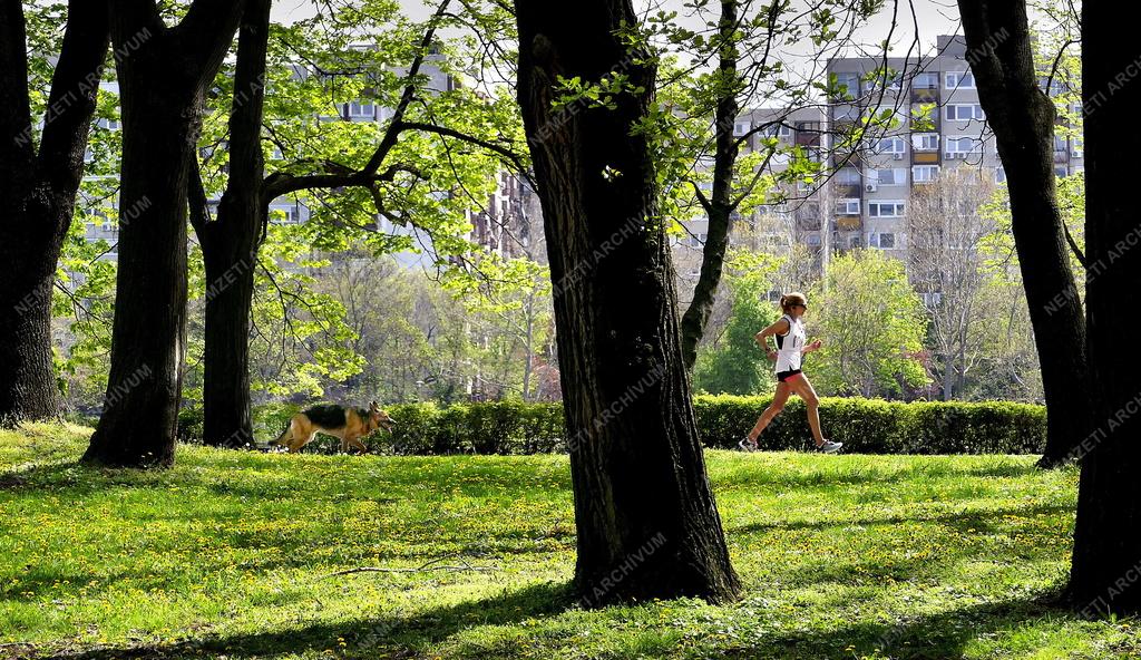 Városkép - Budapest - Tavasz a Margit-szigeten