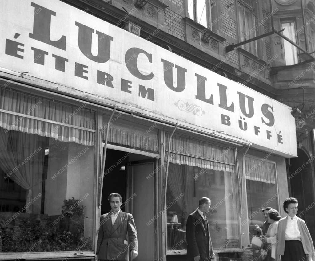 Vendéglátás - Lucullus Étterem és Büffé 