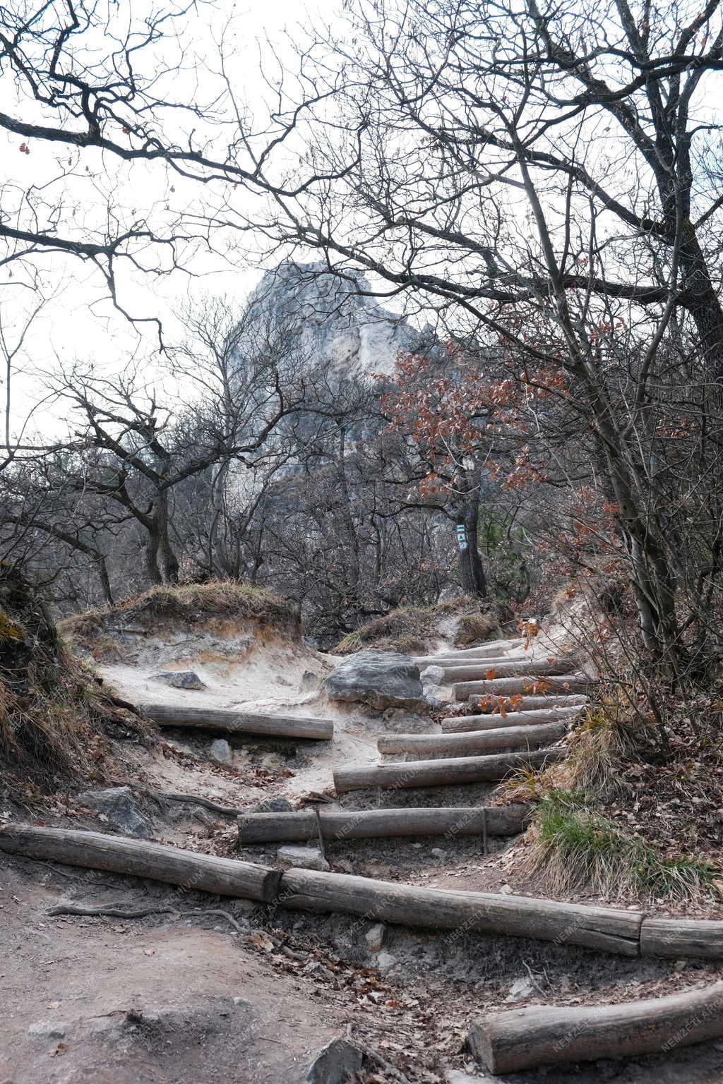 Természet - Tündér-szikla
